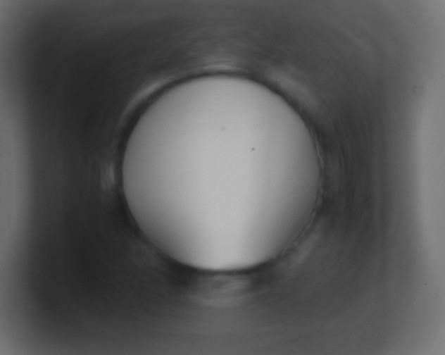 X0000100771166200807031204