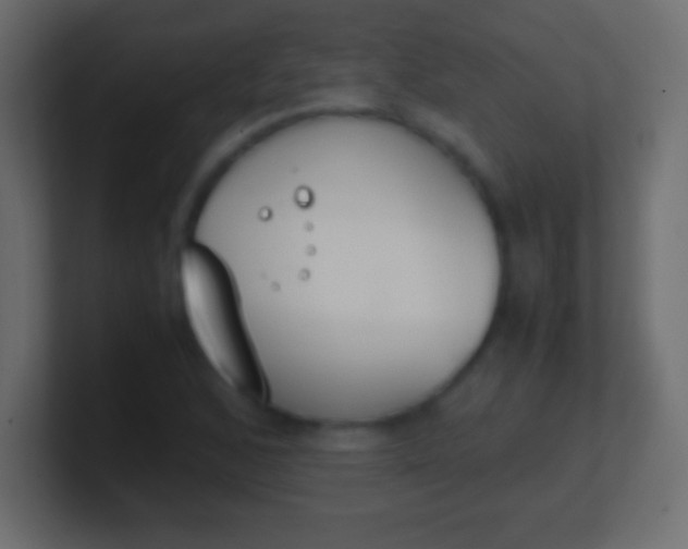 X0000100771168200807031204