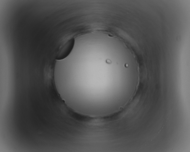 X0000100771169200807031204