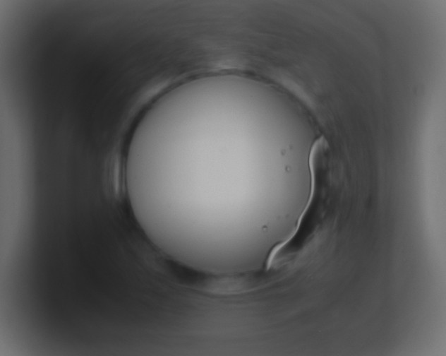 X0000100771171200807031204