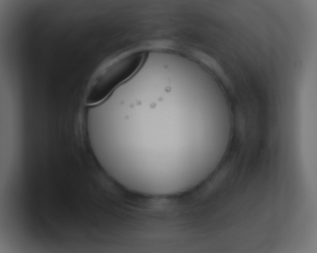 X0000100771176200807031204