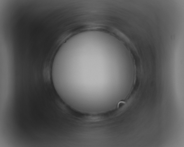 X0000100771177200807031204