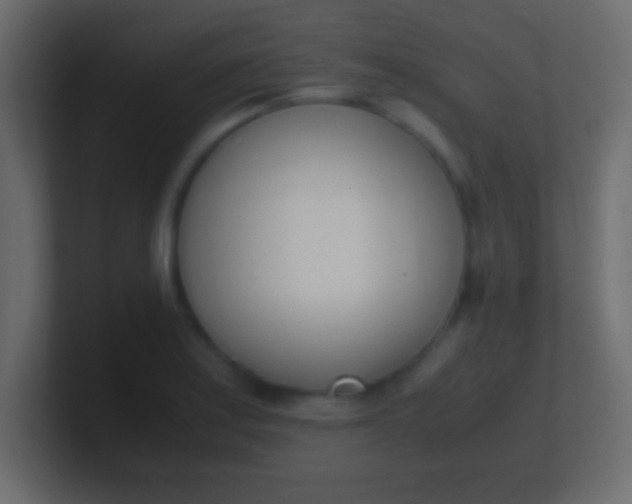 X0000100771179200807031204