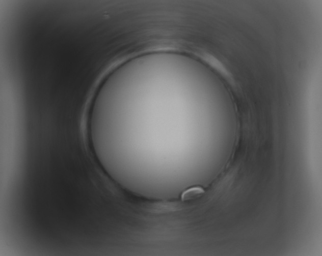 X0000100771181200807031204