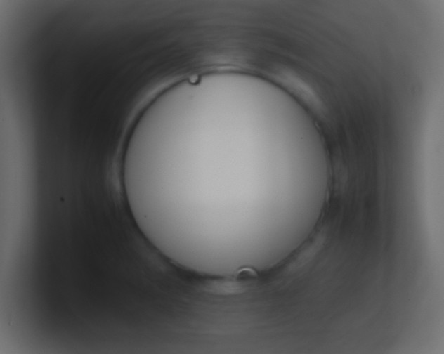 X0000100771182200807031204