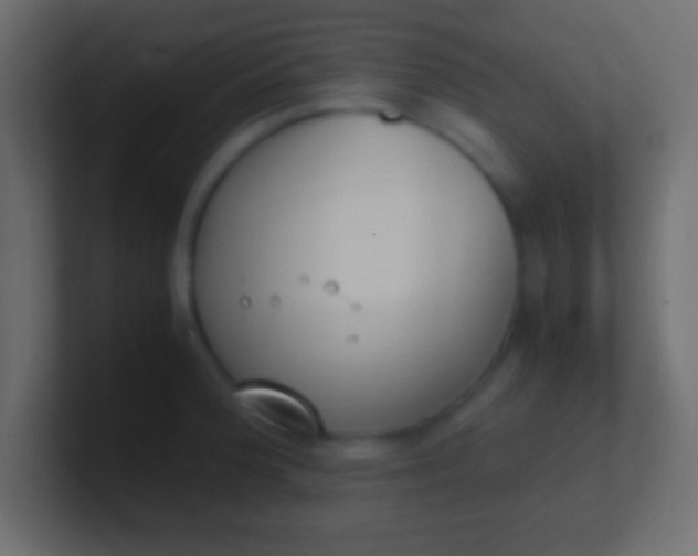 X0000100771188200807031204