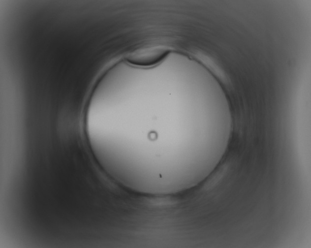 X0000100771189200807031204