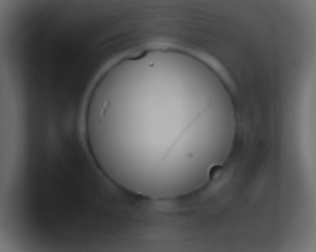X0000100771191200807031204