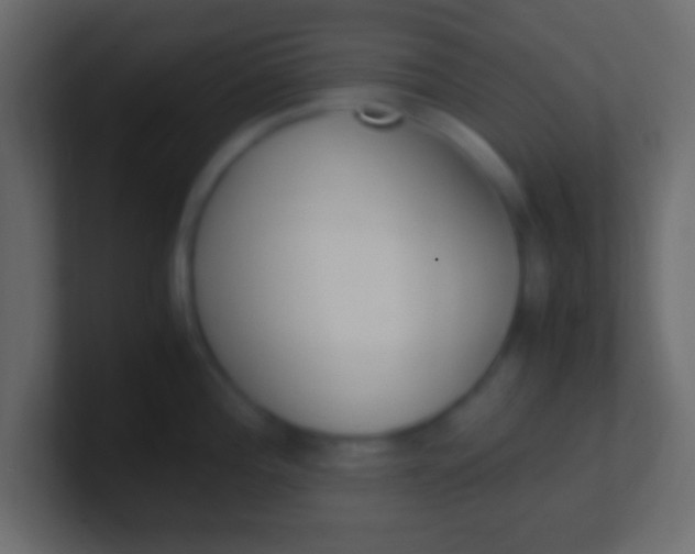 X0000100771196200807031204