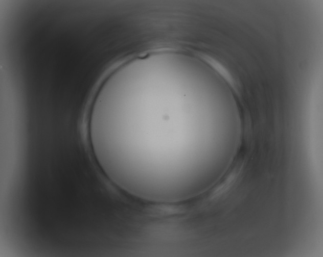 X0000100771197200807031204