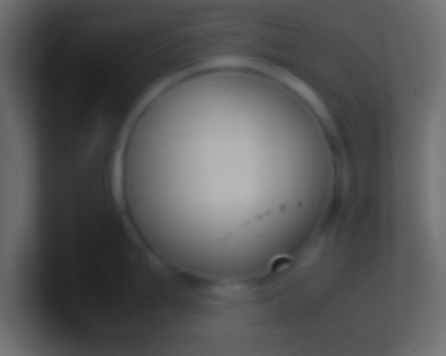 X0000100771199200807031204