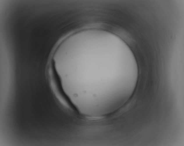 X0000100771200200807031204