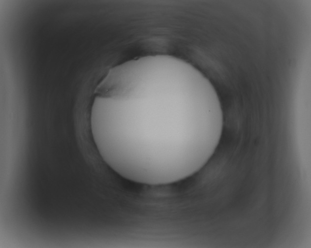 X0000100771201200807031203
