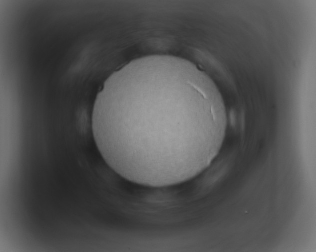 X0000100771203200807031203