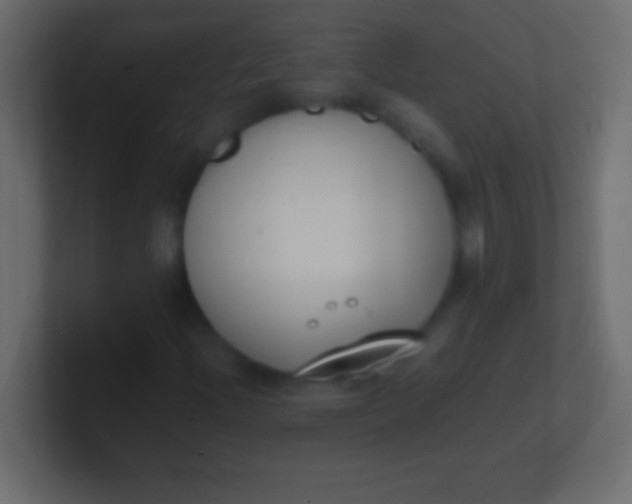 X0000100771204200807031203