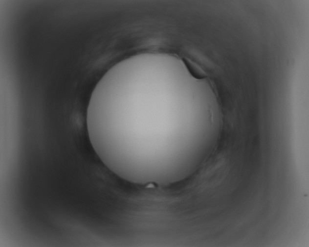 X0000100771206200807031203
