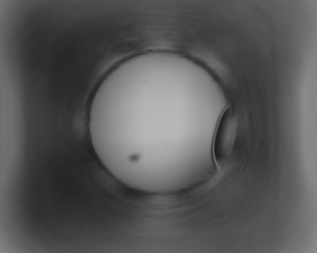X0000100771212200807031203