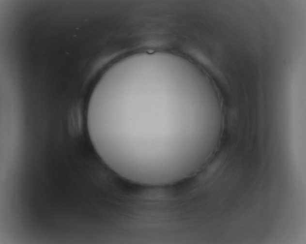 X0000100771214200807031203