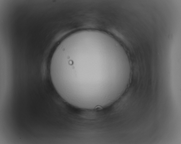 X0000100771215200807031203