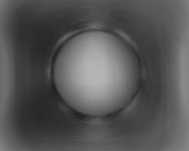 X0000100771222200807031203