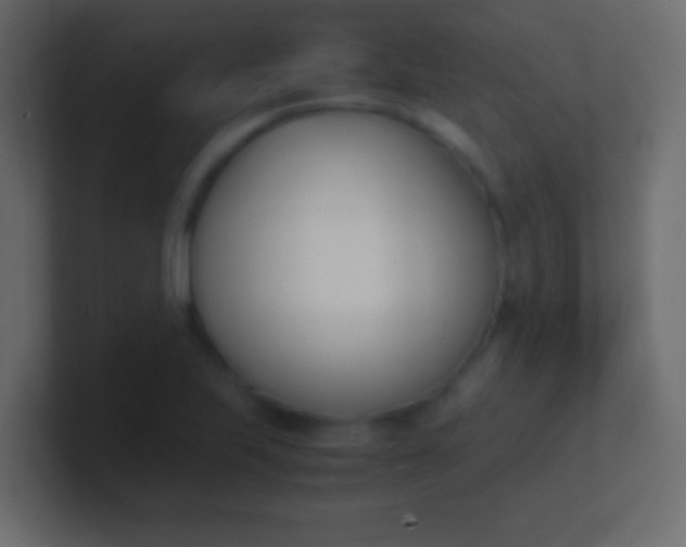 X0000100771223200807031203