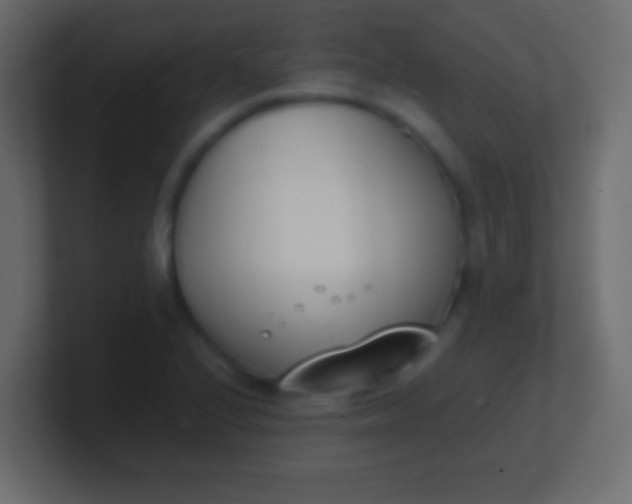 X0000100771224200807031203