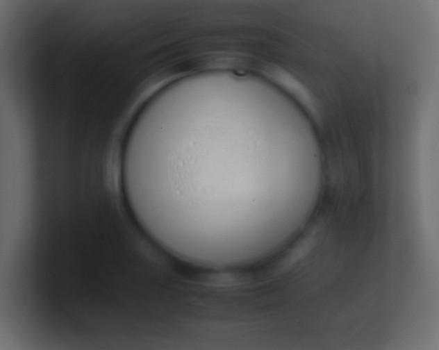 X0000100771227200807031203