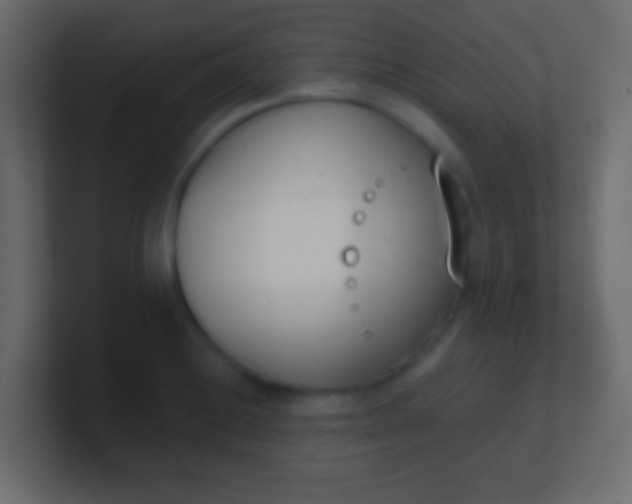 X0000100771228200807031203