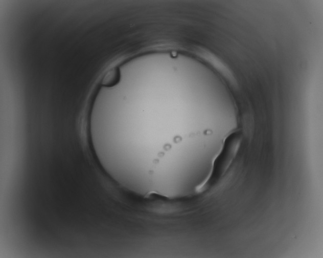 X0000100771229200807031203