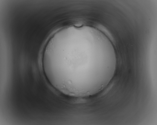 X0000100771235200807031204