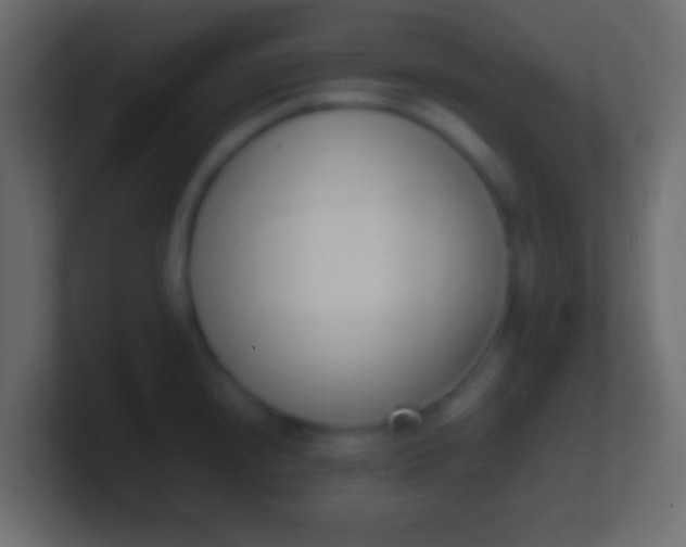 X0000100771240200807031204