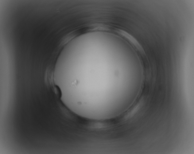 X0000100771241200807031204