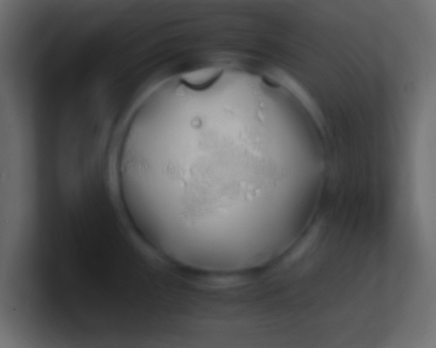 X0000100771243200807031204