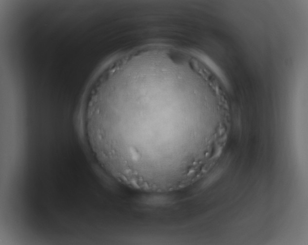 X0000100771245200807031204