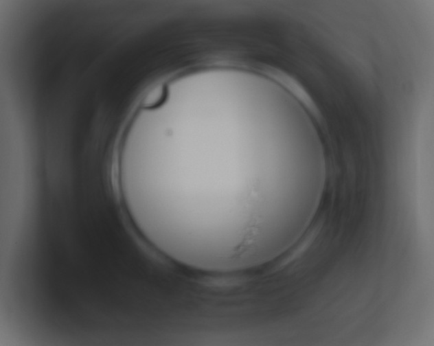 X0000100771247200807031204