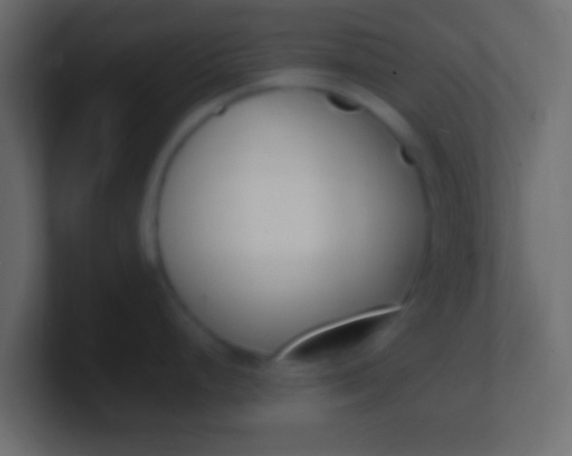 X0000100771248200807031204