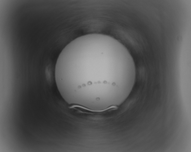 X0000100771250200807031203