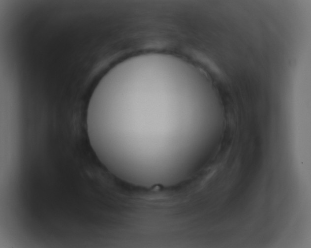 X0000100771256200807031203