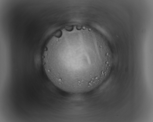 X0000100771259200807031203