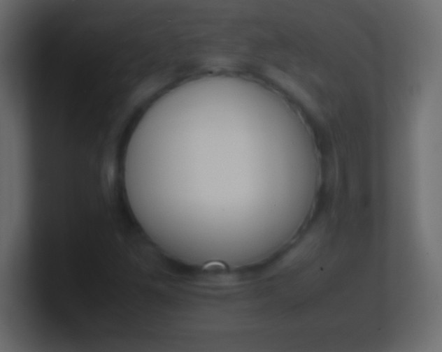 X0000100771261200807031203