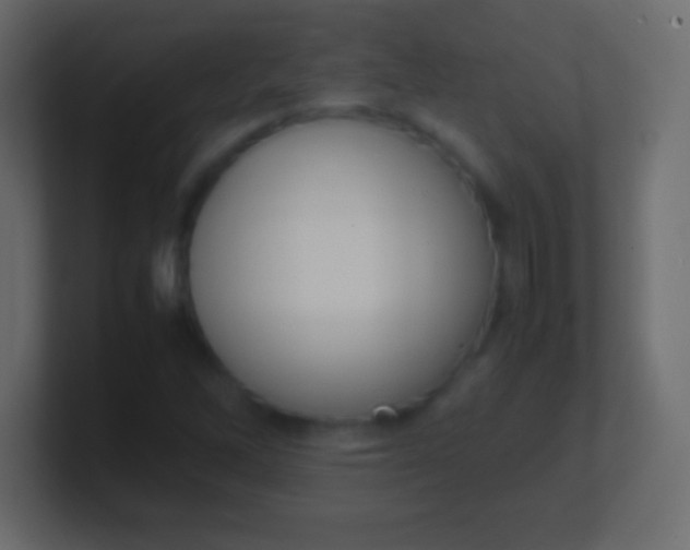 X0000100771262200807031203