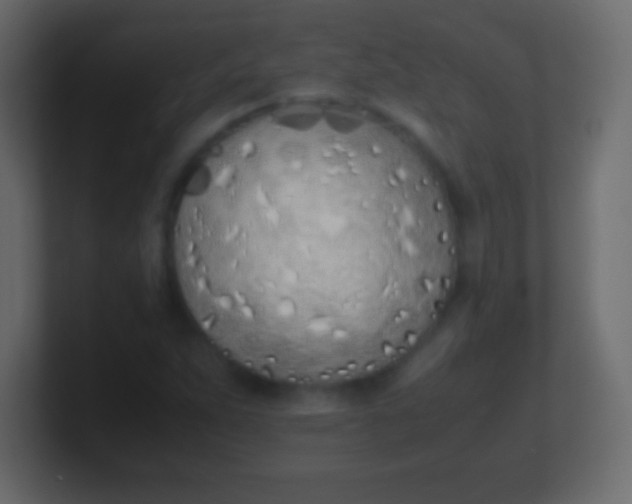 X0000100771263200807031203