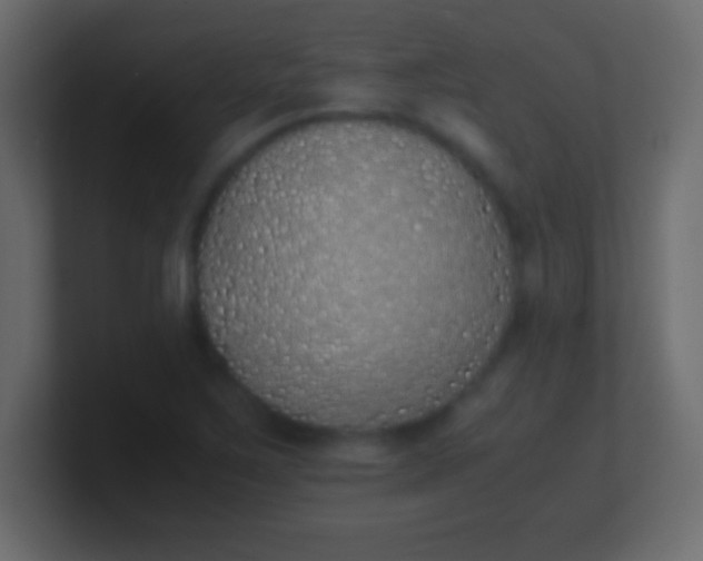 X0000100771267200807031203