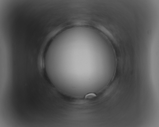 X0000100771269200807031203