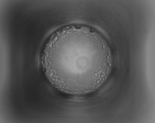 X0000100771271200807031203