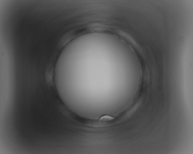 X0000100771273200807031203