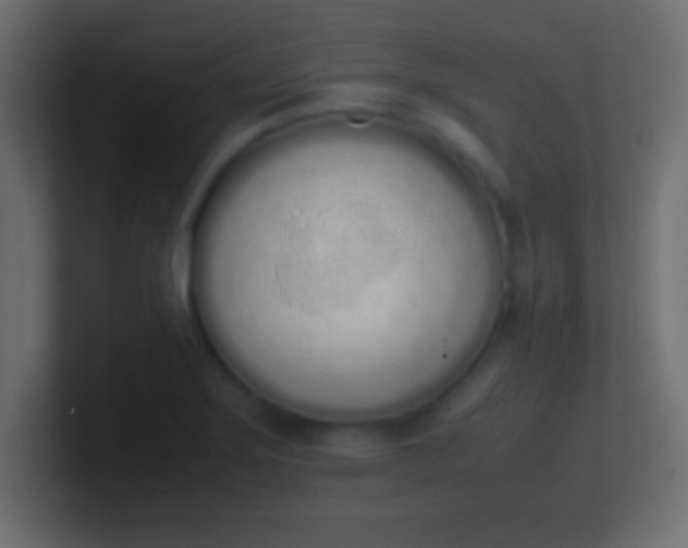 X0000100771275200807031203
