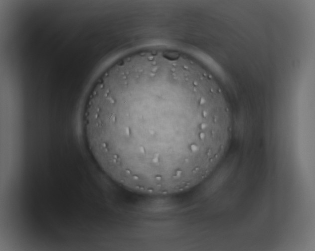 X0000100771279200807031203