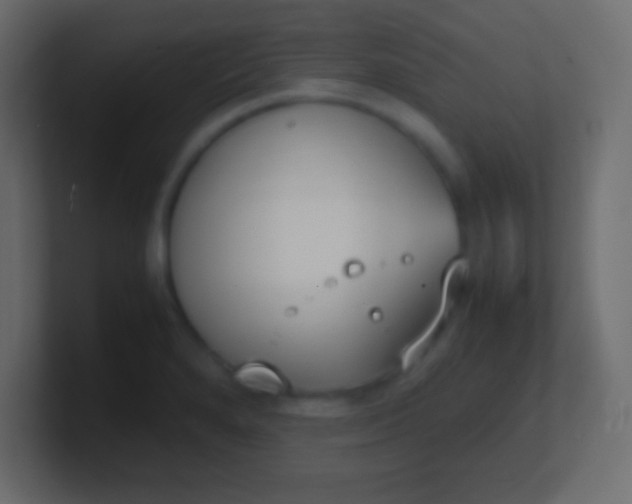 X0000100771280200807031203