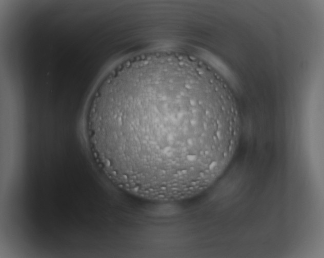 X0000100771283200807031203